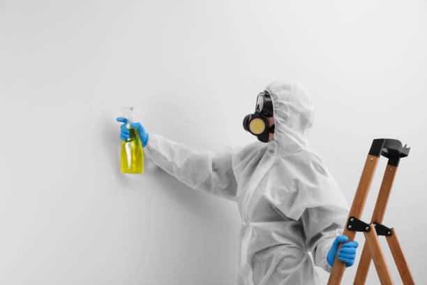 Best Asbestos and Lead Testing During Mold Inspection  in USA